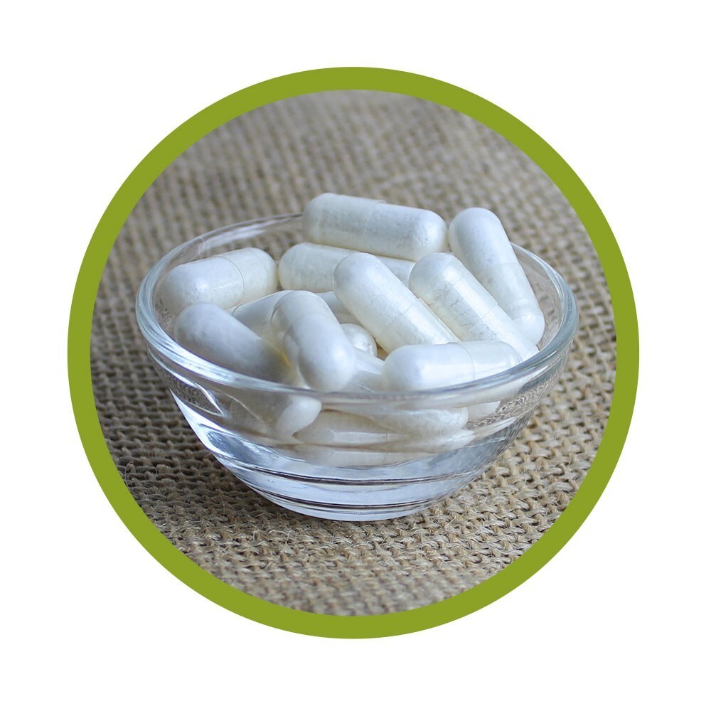 Bio Bambus Extrakt Kapseln 250 Stück