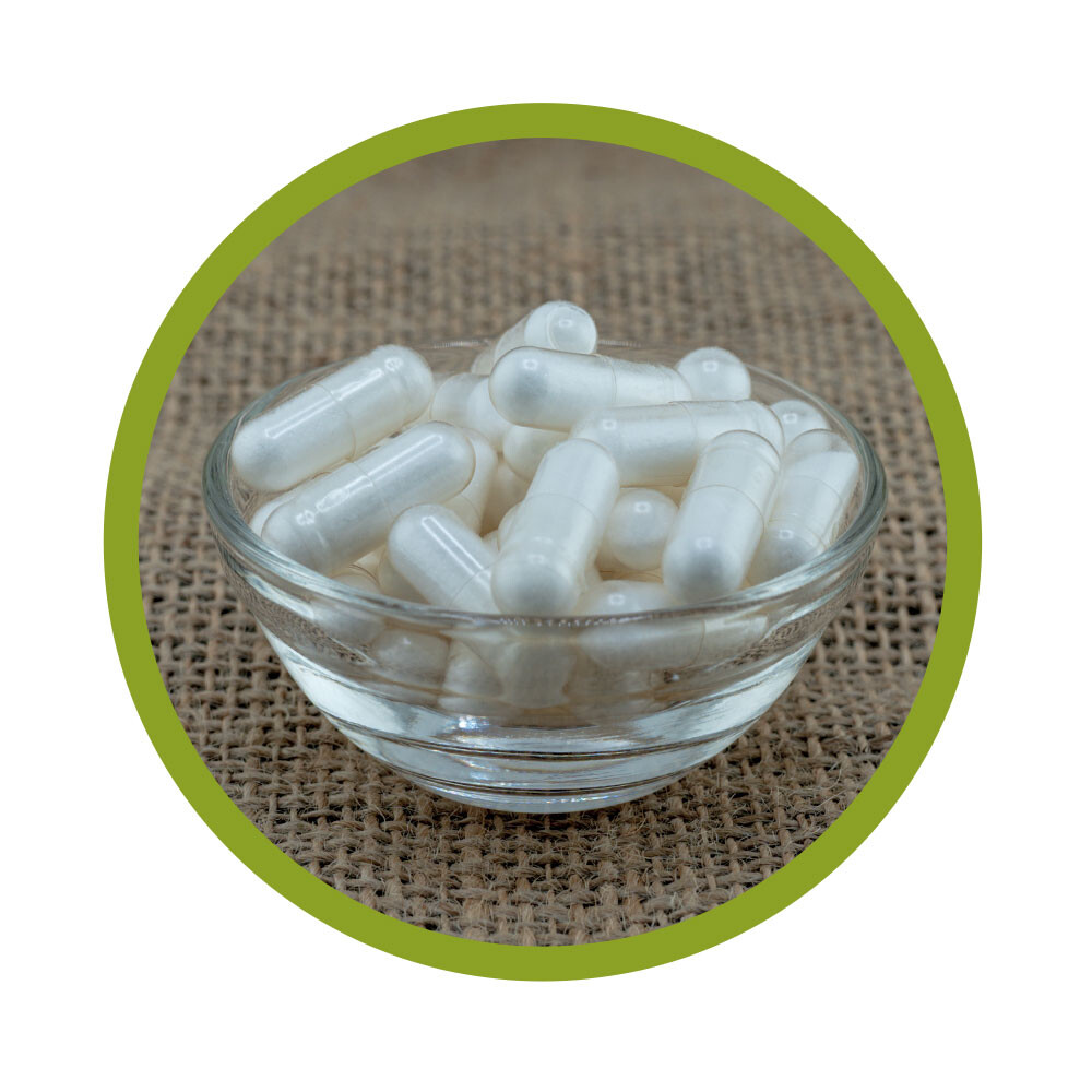 MSM Kapseln 360 Stück