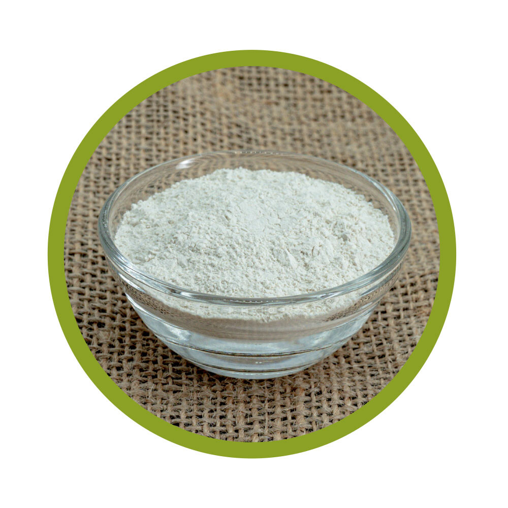 Reisprotein-Isolat Pulver 500 g