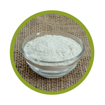 Reisprotein-Isolat Pulver 500 g