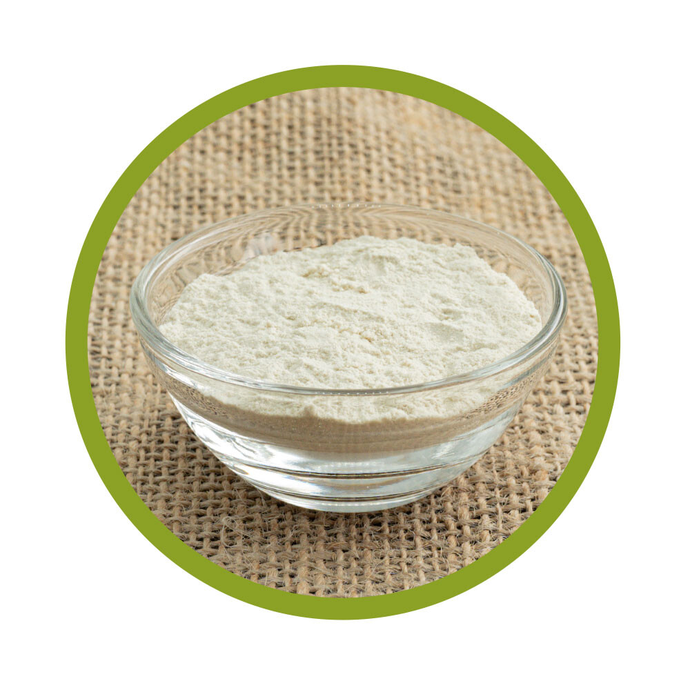Ackerbohnenprotein-Isolat Pulver 500 g