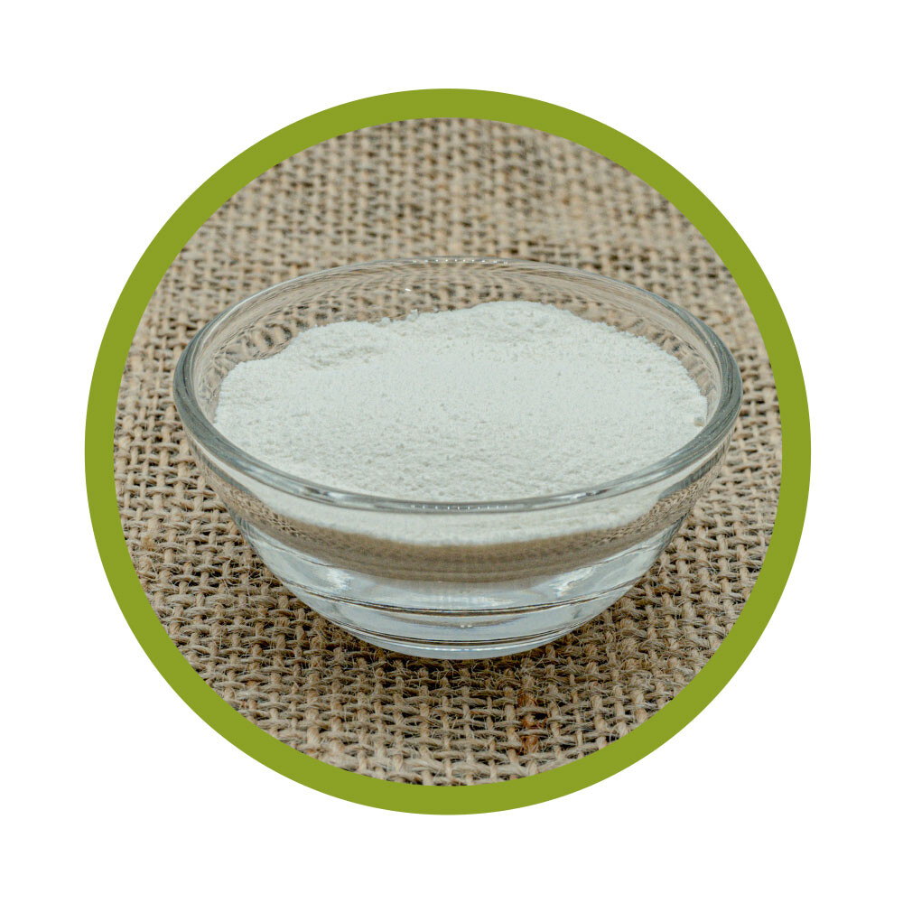 Whey Protein Natur Pulver 500 g