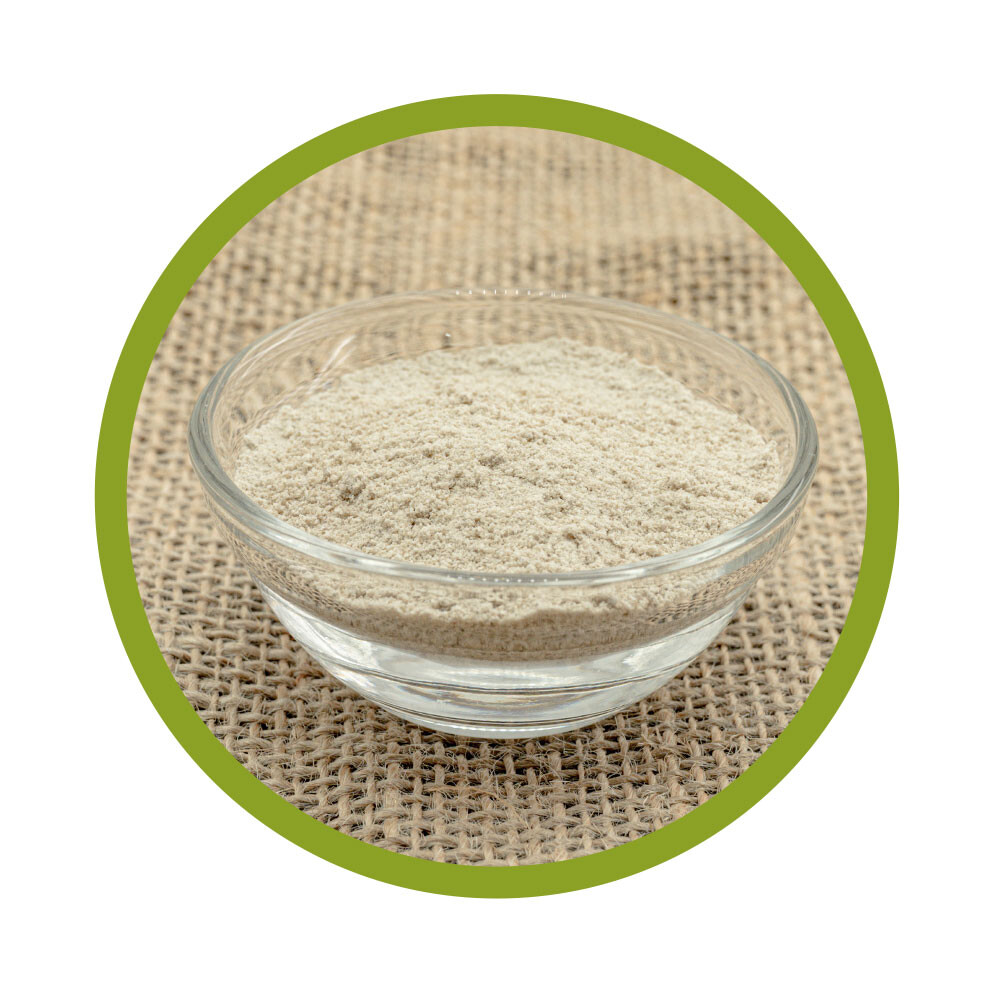 Bio Sonnenblumen Protein Pulver 500 g