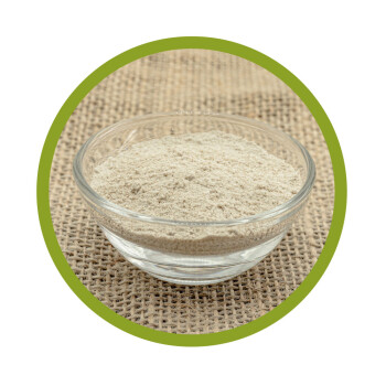 Bio Sonnenblumen Protein Pulver 500 g