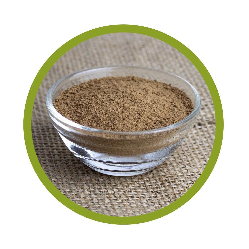 Bio Reishi Pulver 100 g