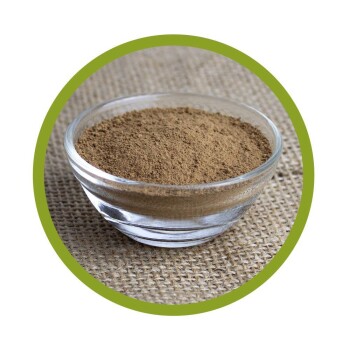 Bio Reishi Pulver 100 g