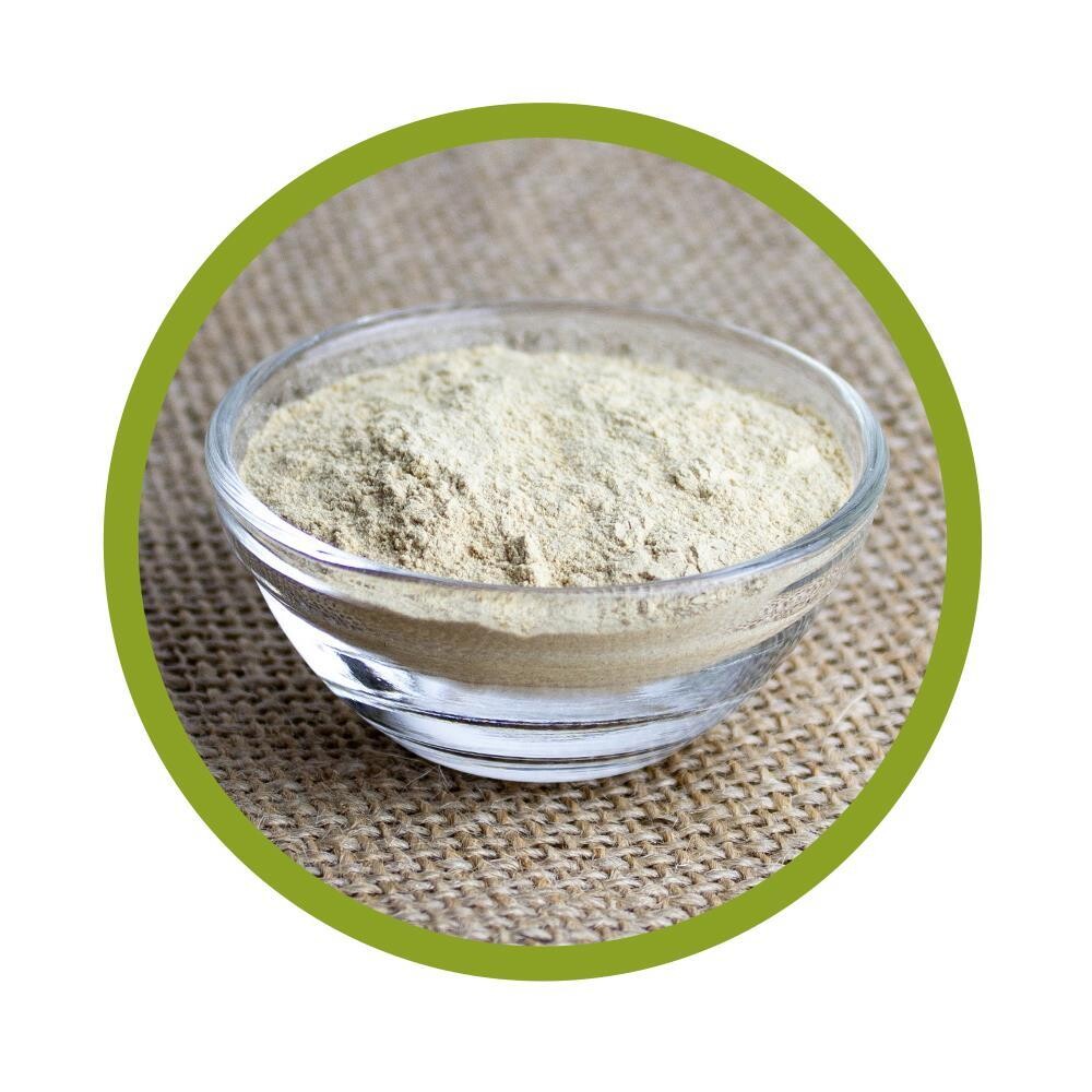 Bio Maitake Pulver 100 g
