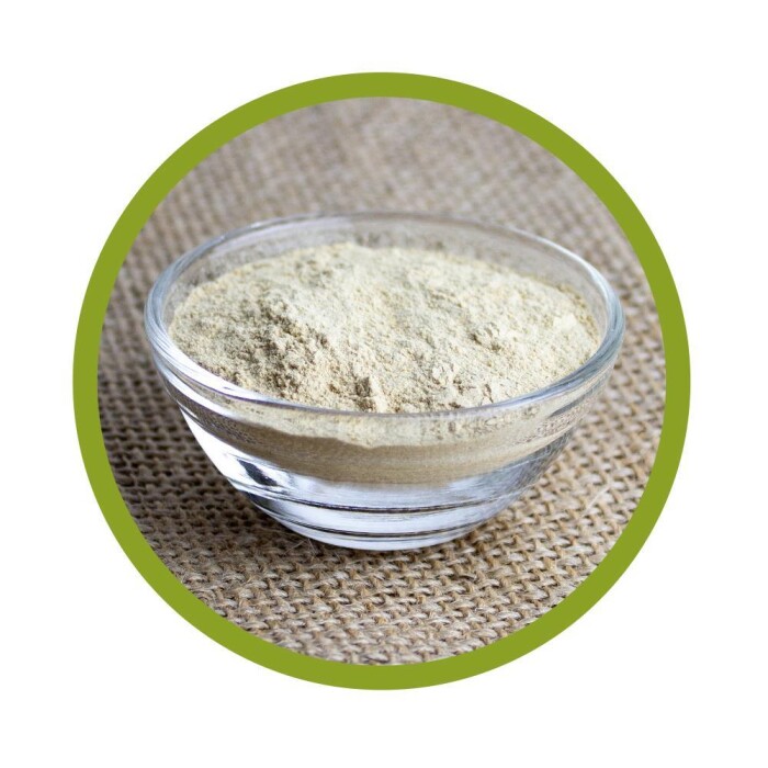 Bio Maitake Pulver 100 g