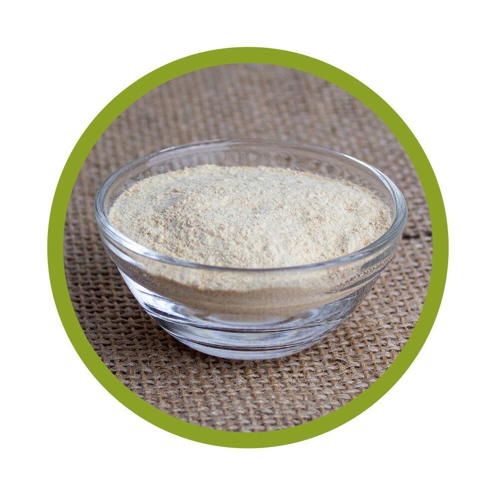Bio Hericium Pulver 100 g