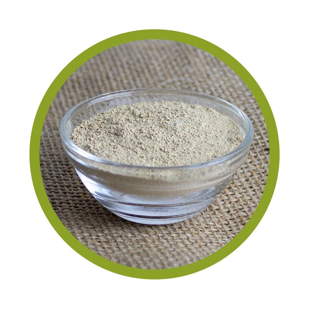 Bio Coprinus Pulver 100 g