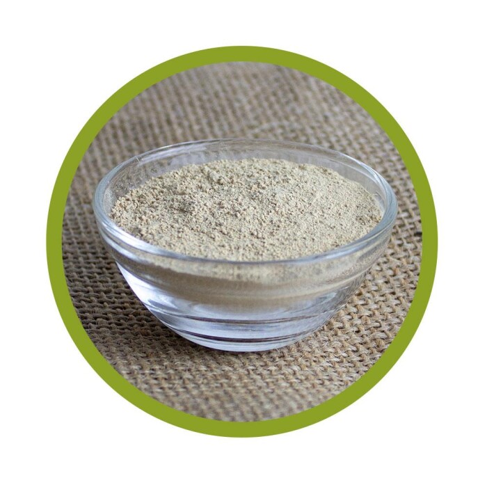 Bio Coprinus Pulver 100 g