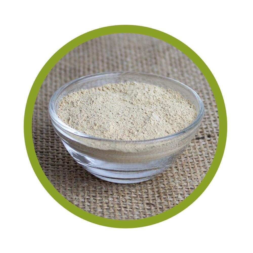 Bio Pleurotus Pulver 100 g