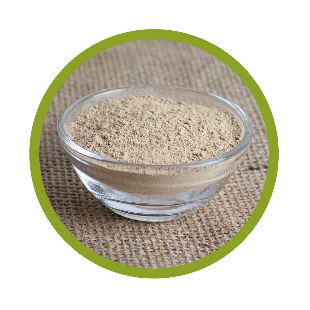 Bio Agaricus Pulver 100 g