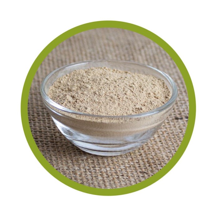Bio Agaricus Pulver 100 g