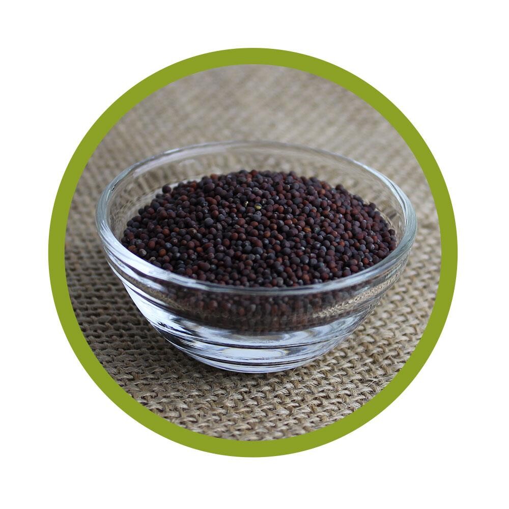 Bio Brokkoli Samen 250 g