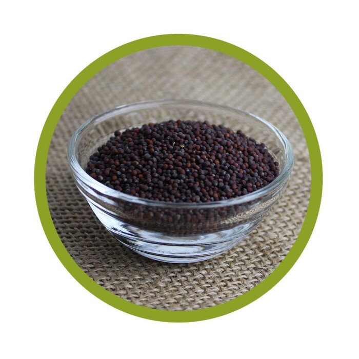 Bio Brokkoli Samen 250 g