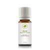 Anisöl (pimpinella anisum) 10 ml