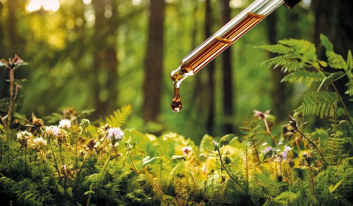 bitterstoffe-bittertropfen