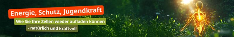 Stark_durch_den_Winter