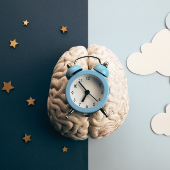 Deine biologische Uhr am Hell-Dunkel-Rhythmus hell-dunkel-rhytmus