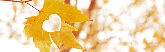 Herbstblues verstehen und etwas dagegen tun