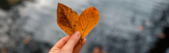 Herbstblues verstehen und etwas dagegen tun